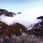 ������Ƭ