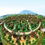 ������Ƭ